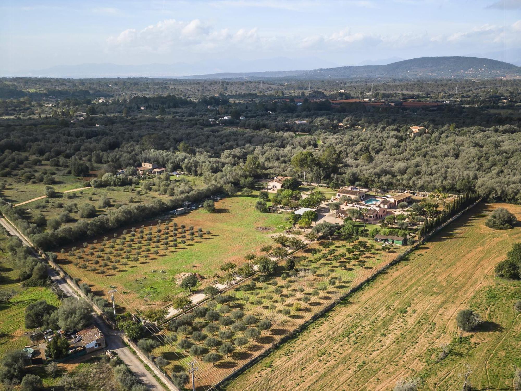 Cas Misser Algaida  Exterior foto